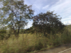 Na estrada...
